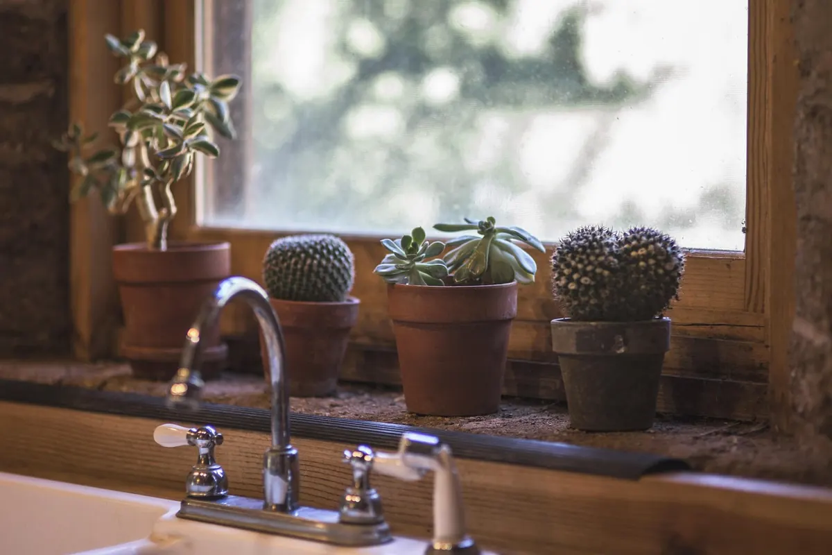 Quit Drinking Without Willpower: How to Redesign Your Environment